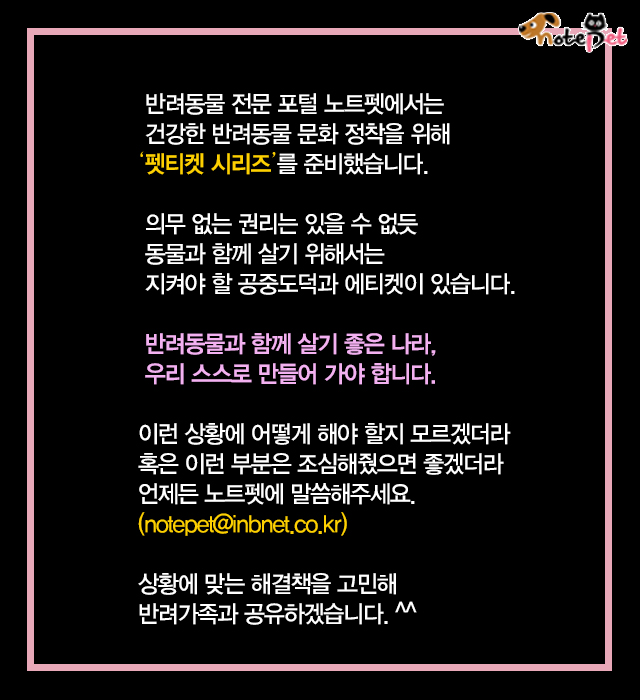 노트펫