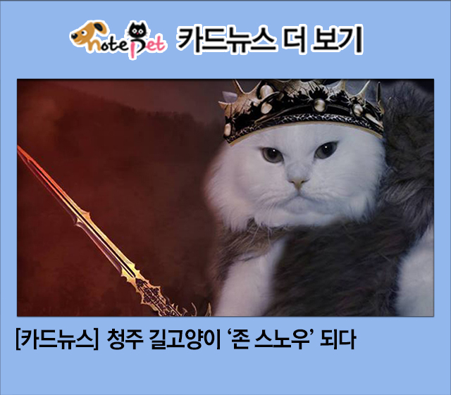 노트펫