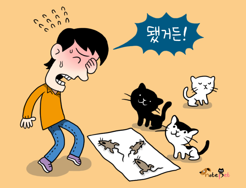 노트펫