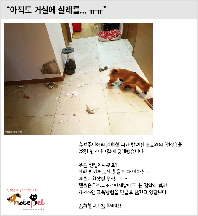 노트펫