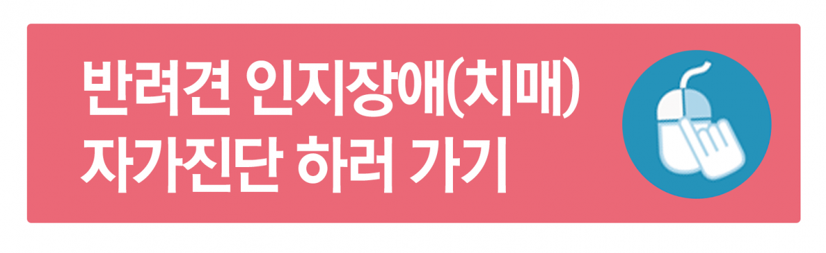 노트펫