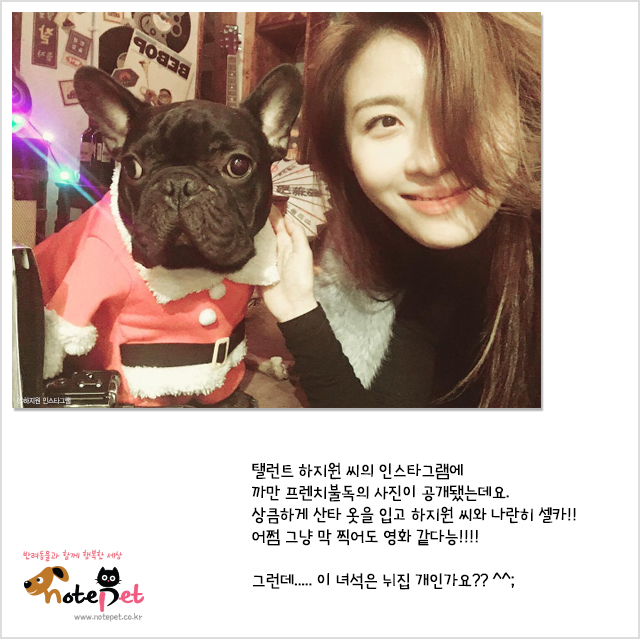 노트펫