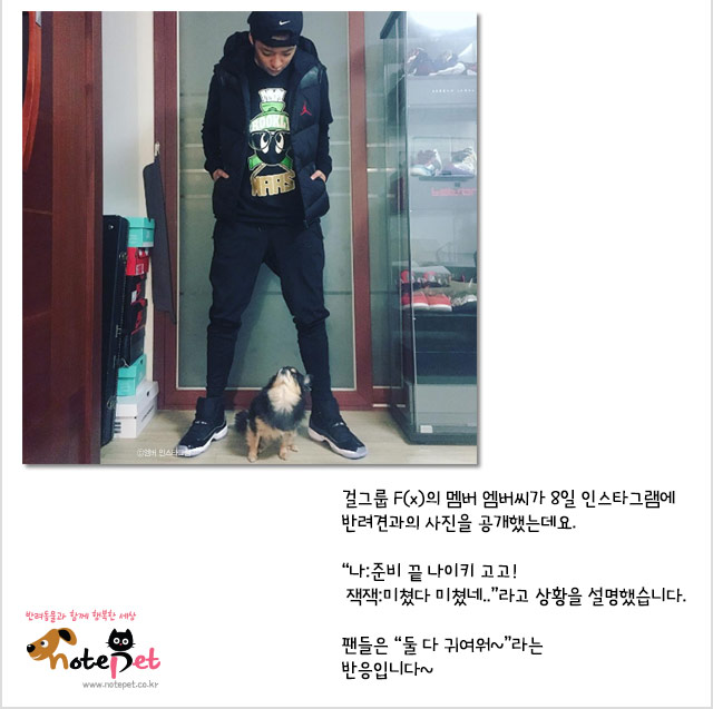 노트펫