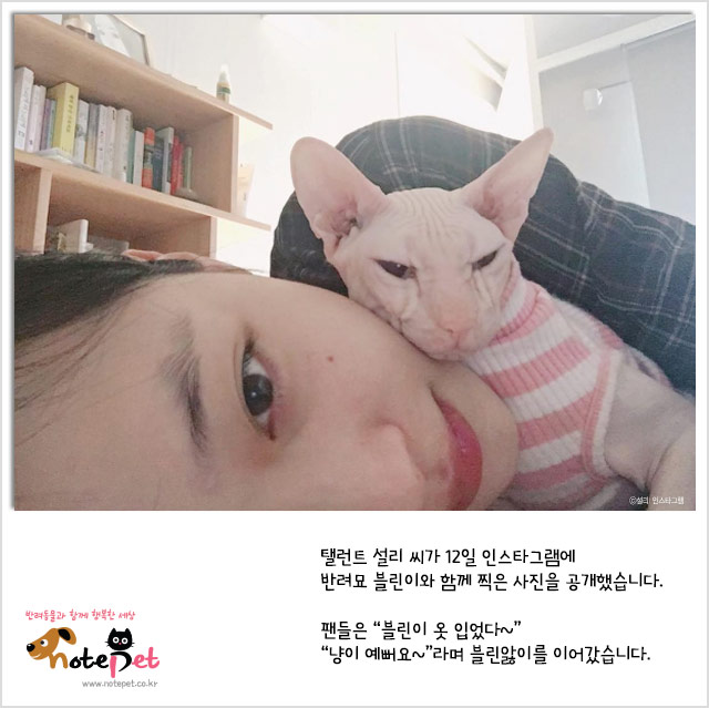 노트펫
