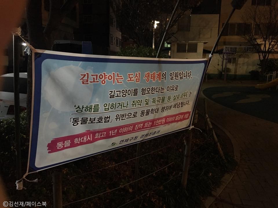 노트펫