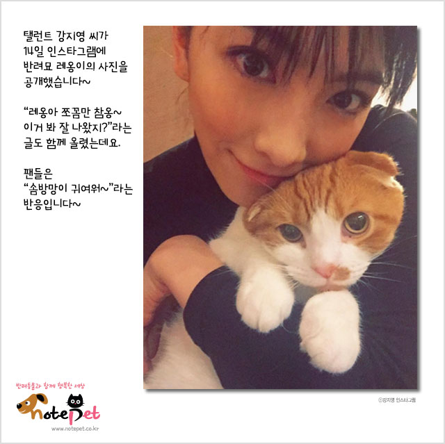 노트펫