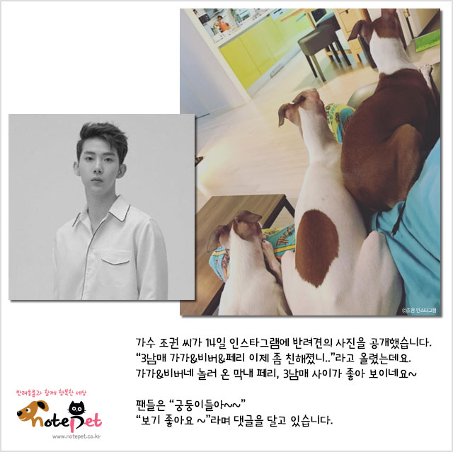 노트펫