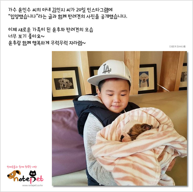 노트펫