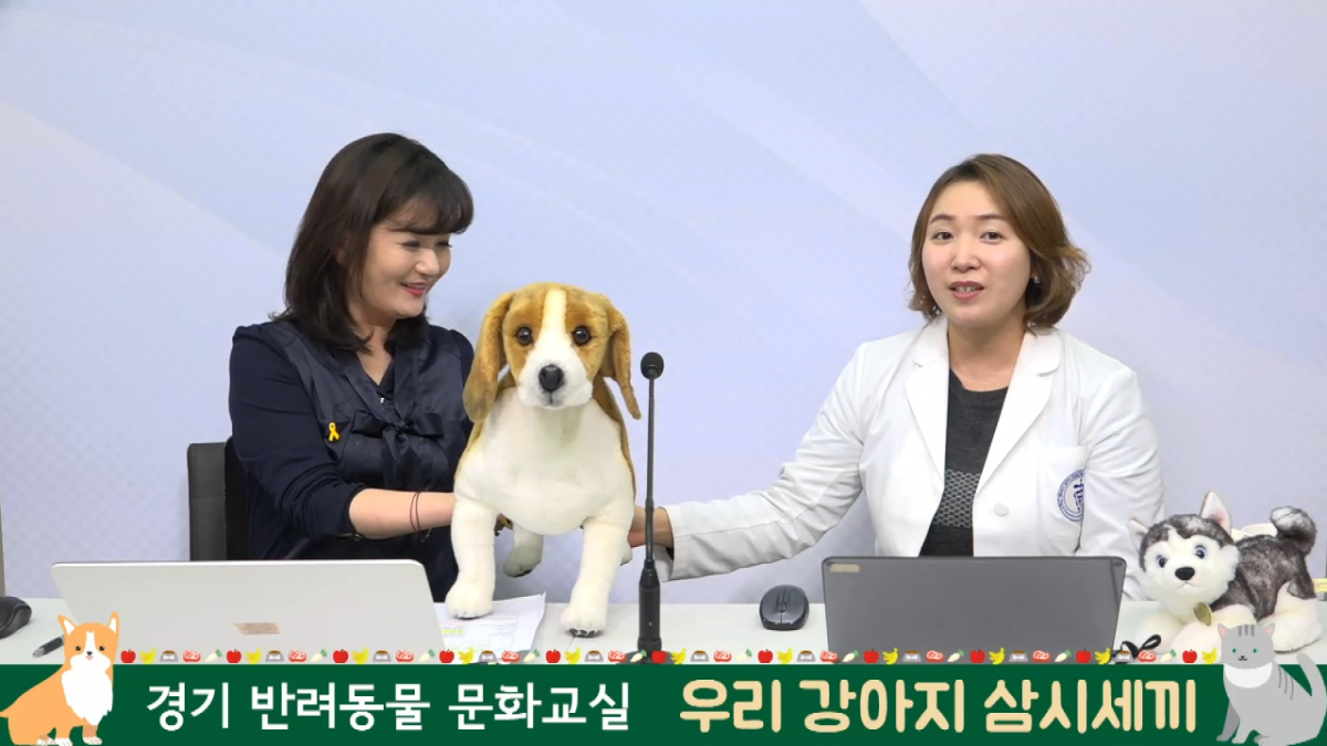 노트펫