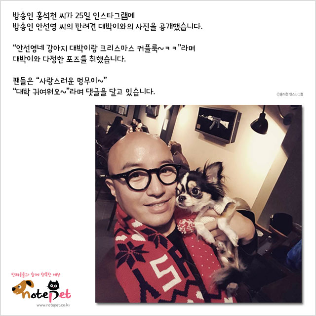 노트펫