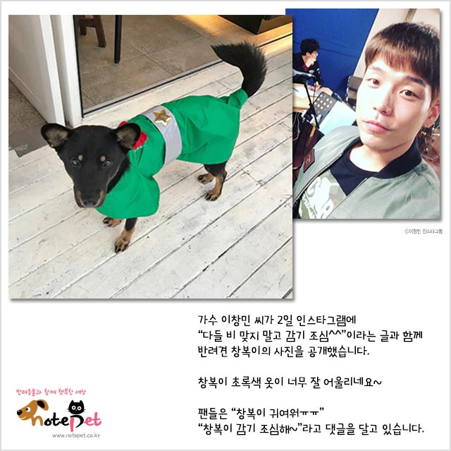 노트펫
