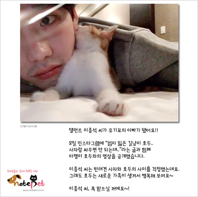 노트펫