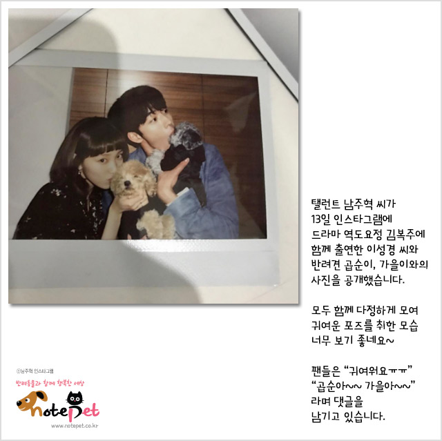 노트펫