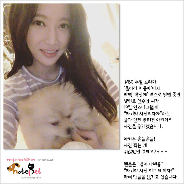 노트펫