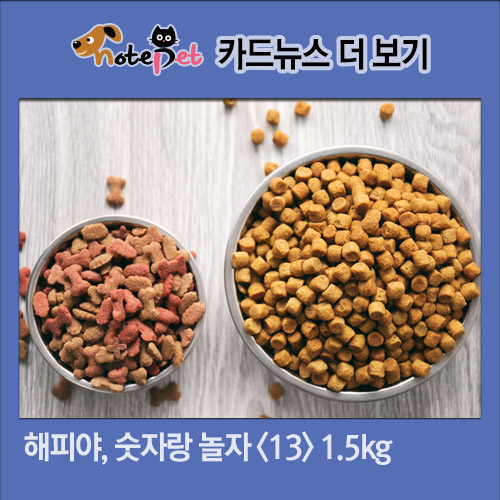 노트펫