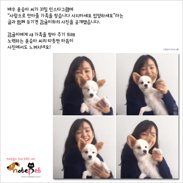 노트펫