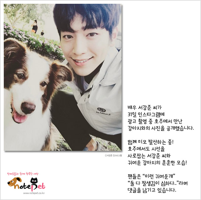 노트펫