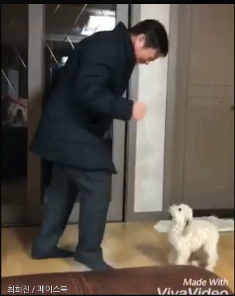 노트펫