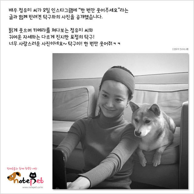 노트펫