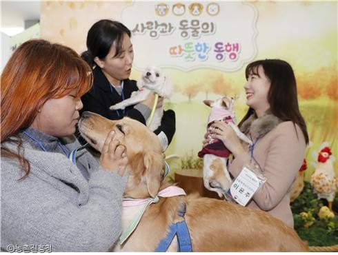 노트펫