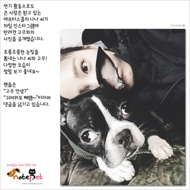 노트펫