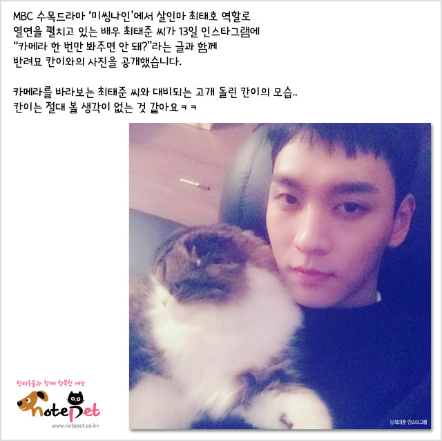 노트펫