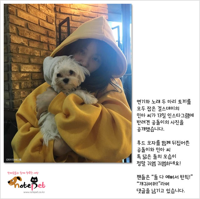 노트펫