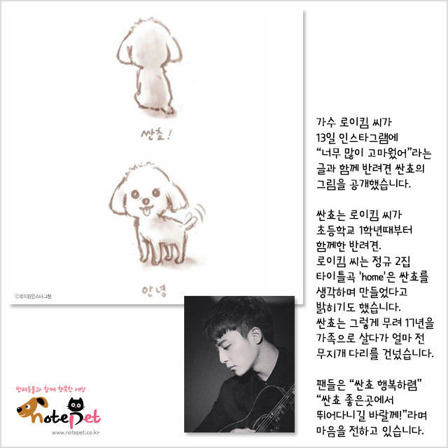노트펫