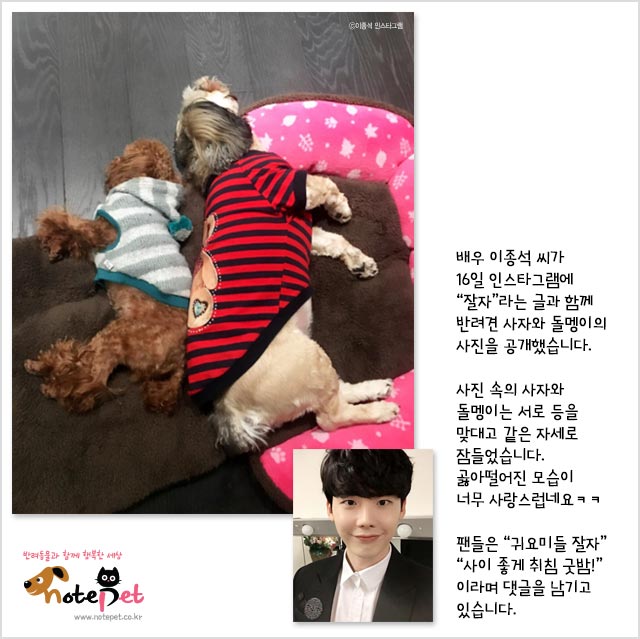 노트펫