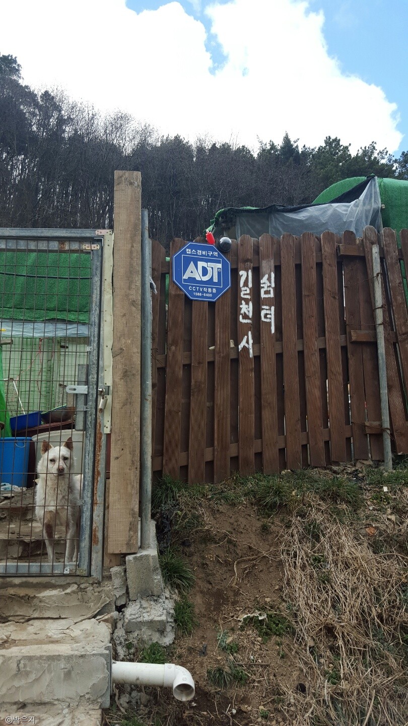노트펫