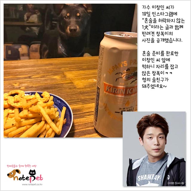 노트펫
