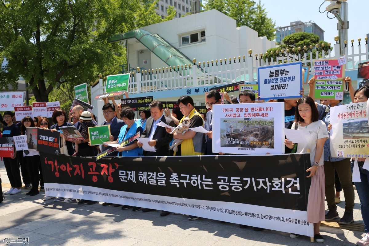노트펫