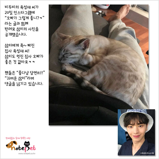 노트펫