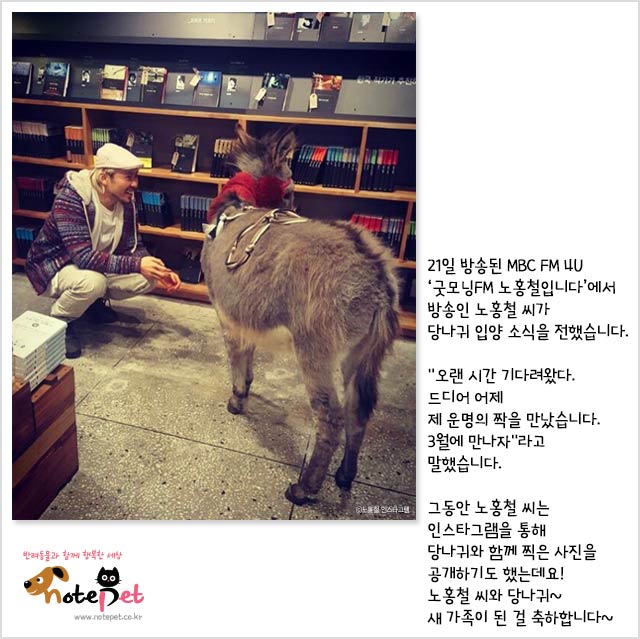 노트펫