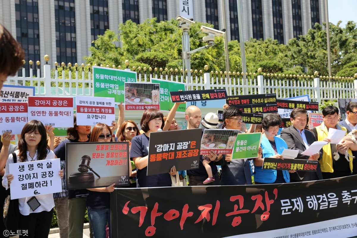 노트펫