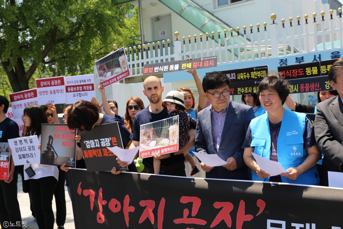 노트펫