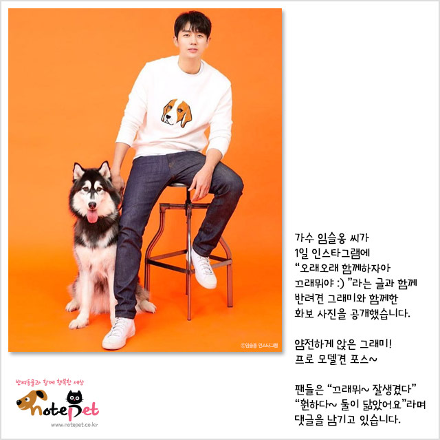 노트펫