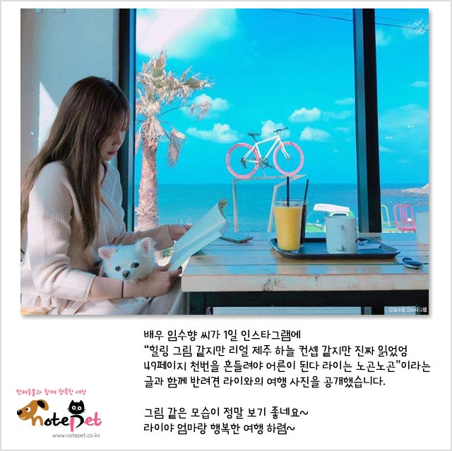 노트펫