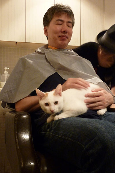 노트펫