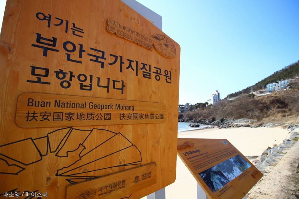 노트펫