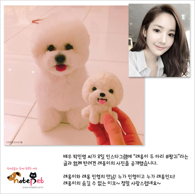 노트펫