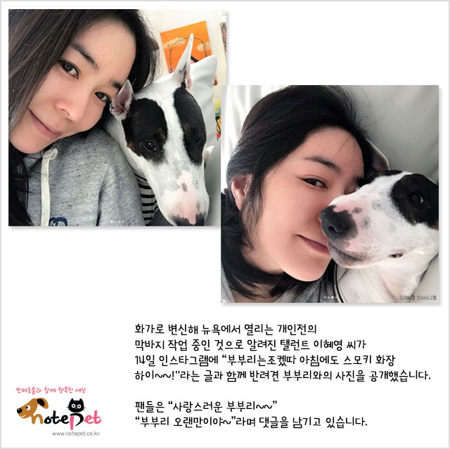 노트펫