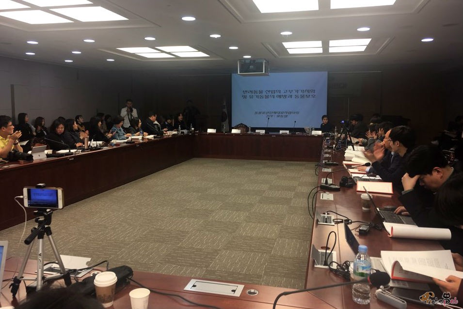 노트펫
