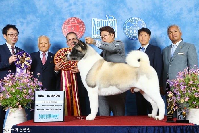 노트펫