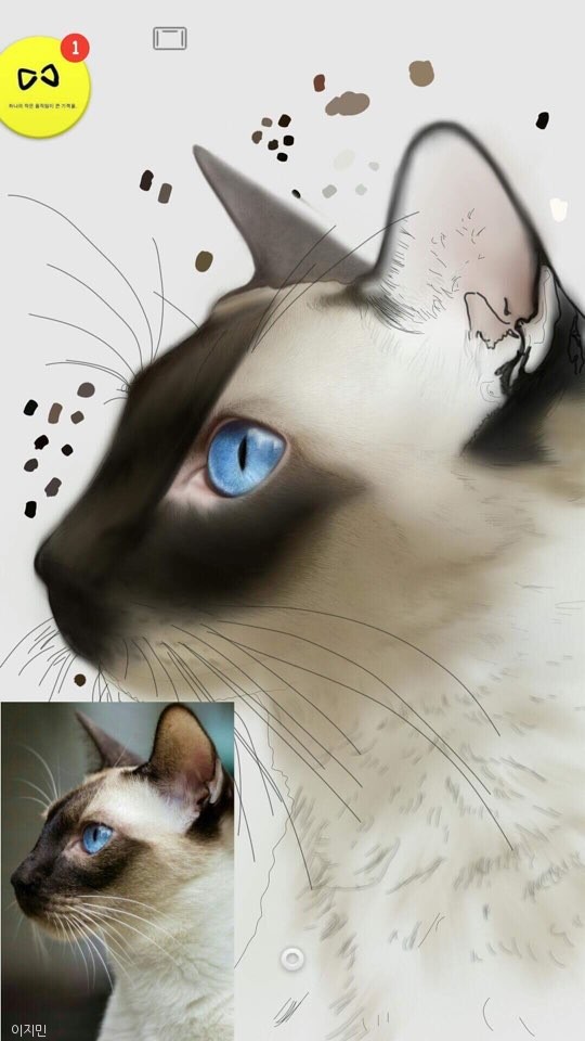 노트펫