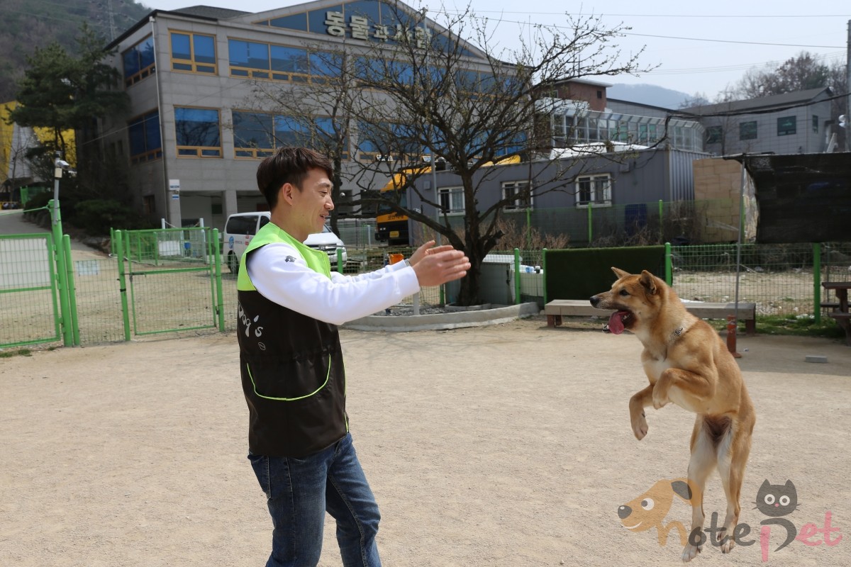 노트펫