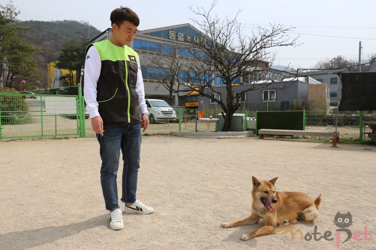 노트펫