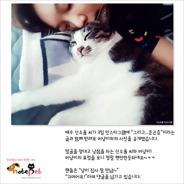 노트펫