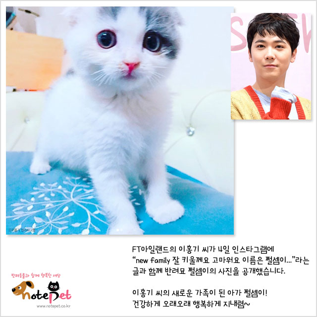 노트펫