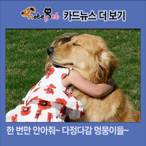 노트펫